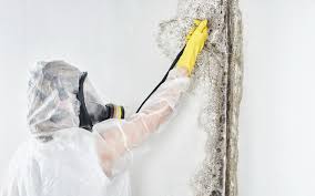 Best Mold Remediation for Healthcare Facilities in Galesville, MD